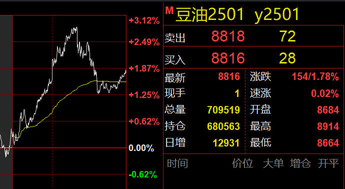 2025年1月4日 第29页