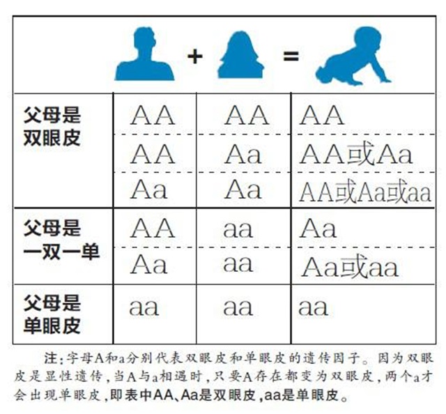 先父遗传最新研究进展揭秘