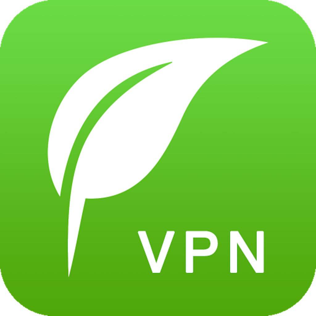 探索最新VPN GREEN的优势与应用场景