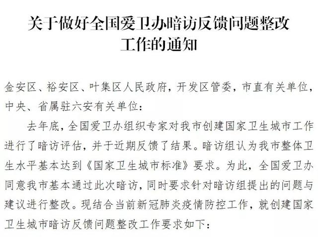 最新整改动态，推动社会进步的关键力量