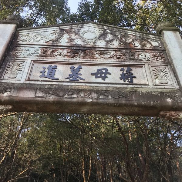 最新墓道考古发现，文化解读与探索